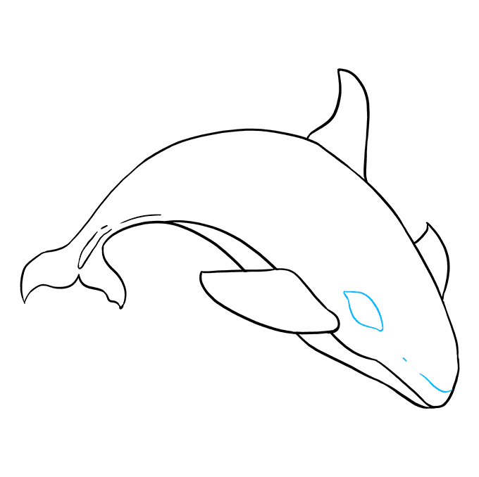 Cách vẽ Orca: Bước 9