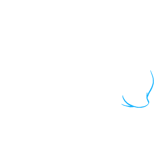 Cách vẽ con nhím: Bước 1