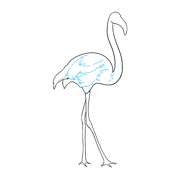 Cách vẽ Flamingo: Bước 8