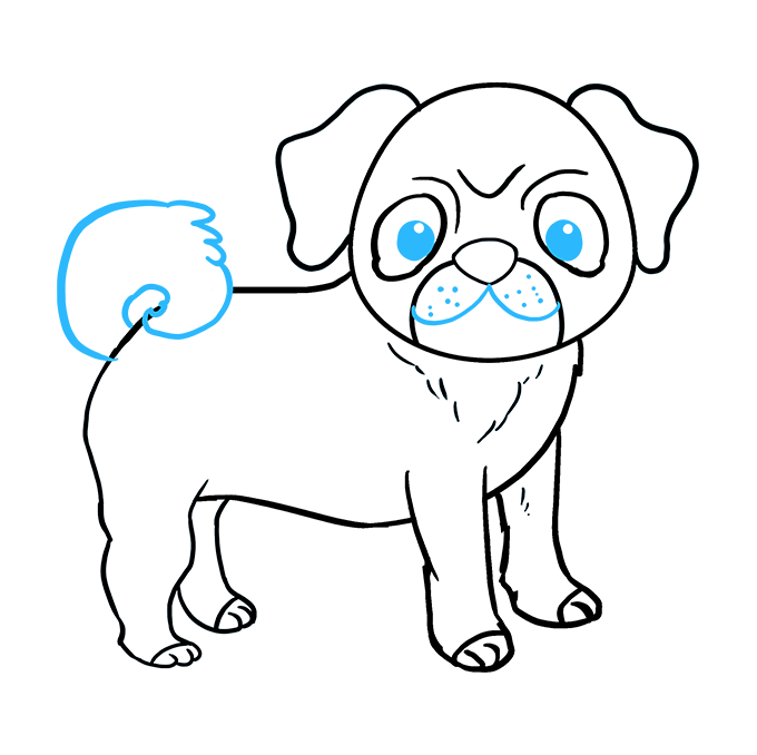 Cách vẽ Pug: Bước 9