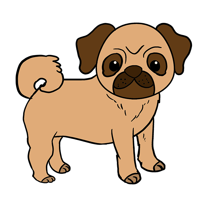 Cách vẽ Pug: Bước 10 "srcset =" https://xn--v-nwm.vn/wp-content/uploads/2020/04/1587620494_859_Cach-ve-Pug.png