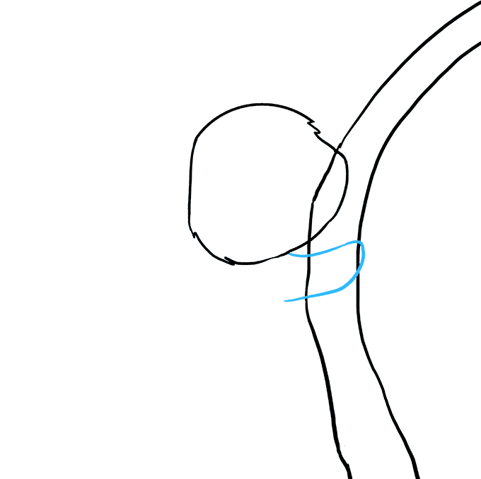 Cách vẽ Gấu Túi: Bước 5