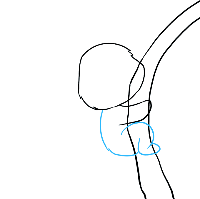 Cách vẽ Gấu Túi: Bước 6