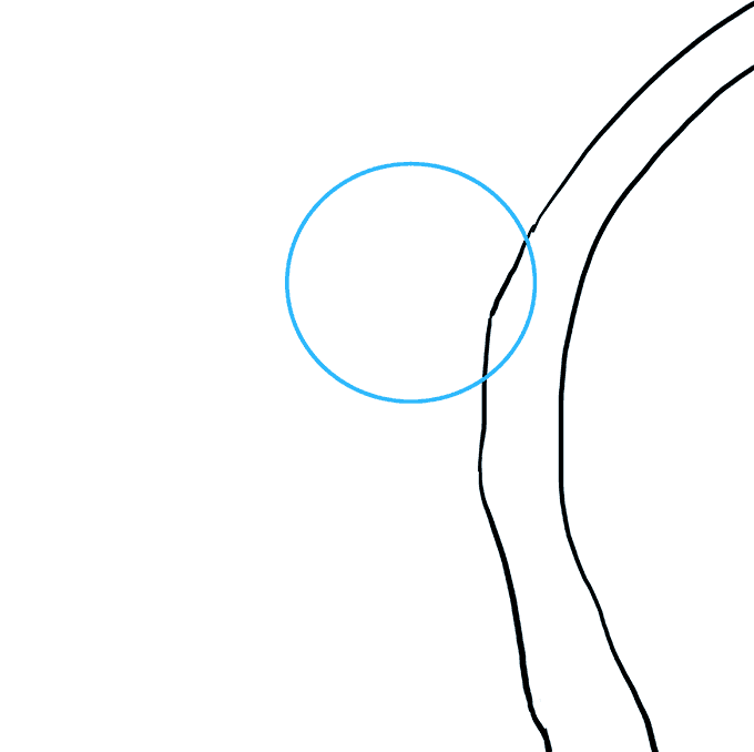 Cách vẽ Gấu Túi: Bước 2