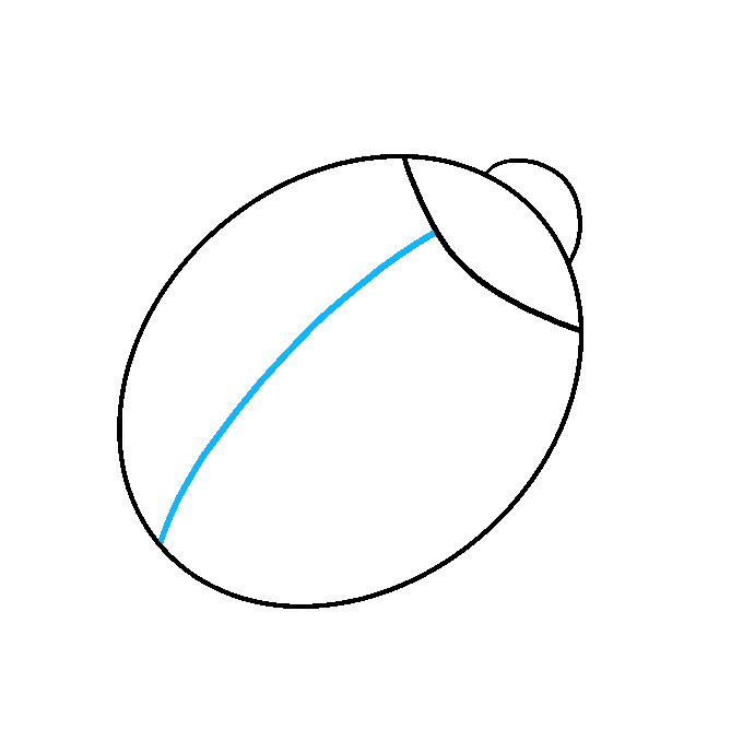 Cách vẽ bọ rùa: Bước 3