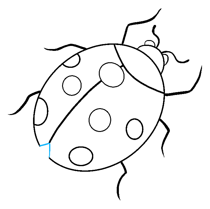 Cách vẽ bọ rùa: Bước 8