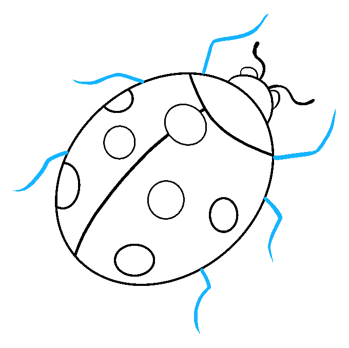 Cách vẽ bọ rùa: Bước 7