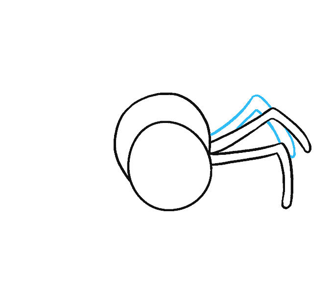 Cách vẽ phim hoạt hình Spider: Bước 5