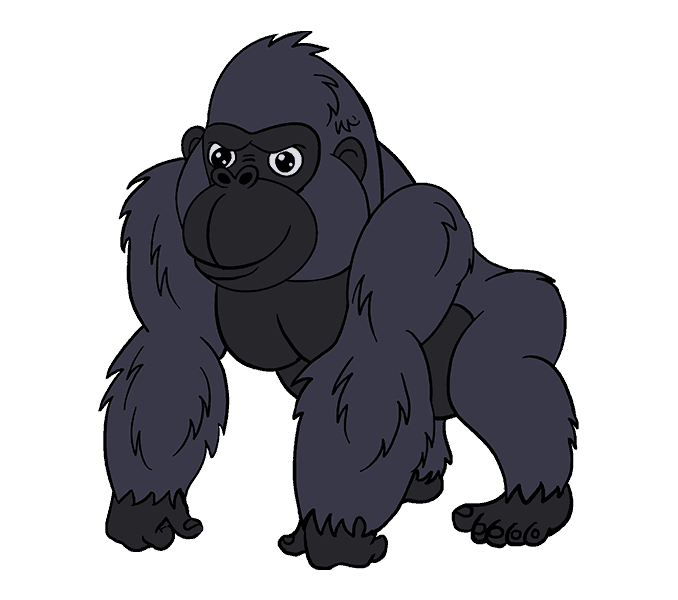 Cách vẽ Gorilla hoạt hình: Bước 20