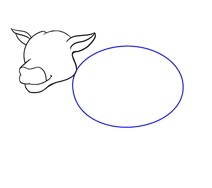 Cách vẽ bò: Bước 9