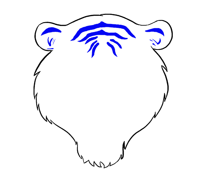 Cách vẽ mặt hổ: Bước 7