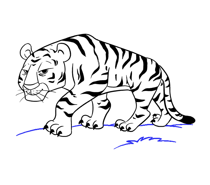 Cách vẽ phim hoạt hình Tiger: Bước 19