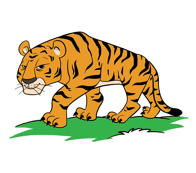 Cách vẽ phim hoạt hình Tiger: Bước 20