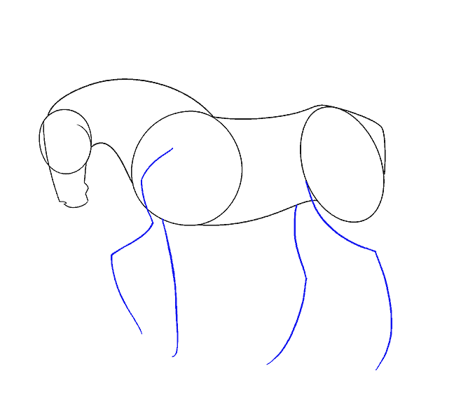 Cách vẽ con ngựa đơn giản: Bước 8