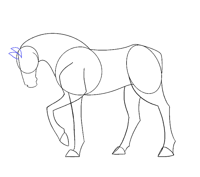 Cách vẽ con ngựa đơn giản: Bước 11
