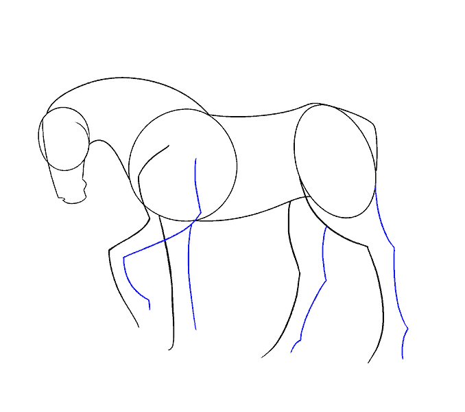 Cách vẽ ngựa đơn giản: Bước 9