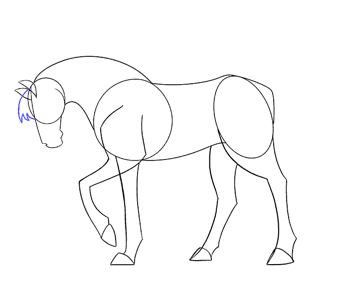 Cách vẽ con ngựa đơn giản: Bước 12