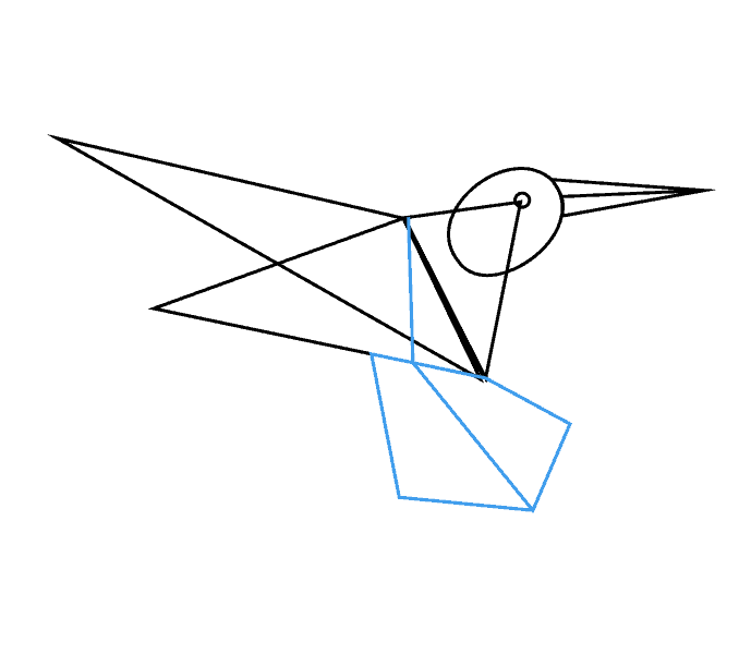 Cách vẽ chim ruồi: Bước 5