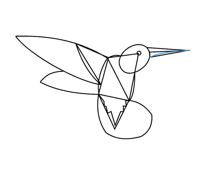 Cách vẽ chim ruồi: Bước 10