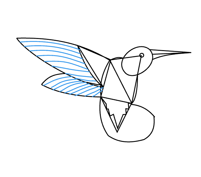 Cách vẽ chim ruồi: Bước 11