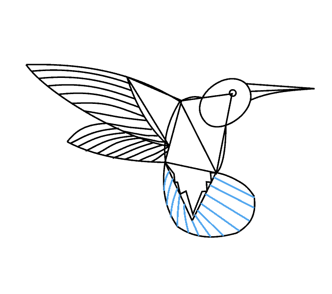 Cách vẽ chim ruồi: Bước 12