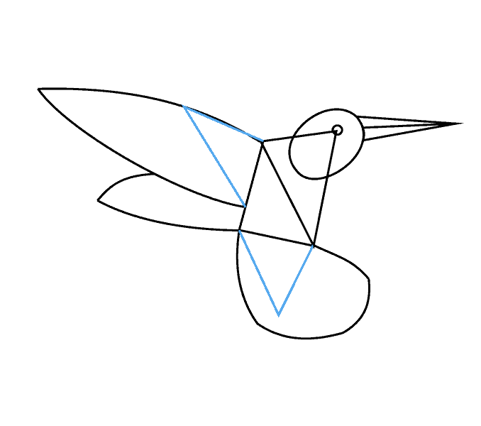 Cách vẽ chim ruồi: Bước 8