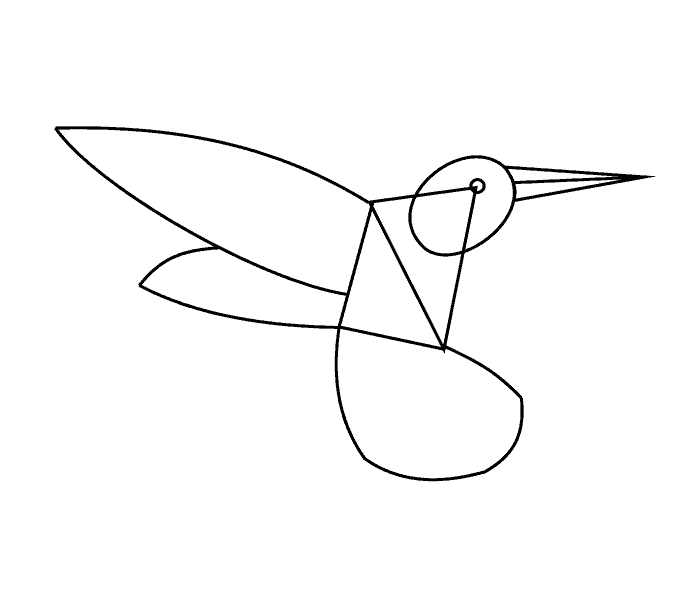 Cách vẽ chim ruồi: Bước 7