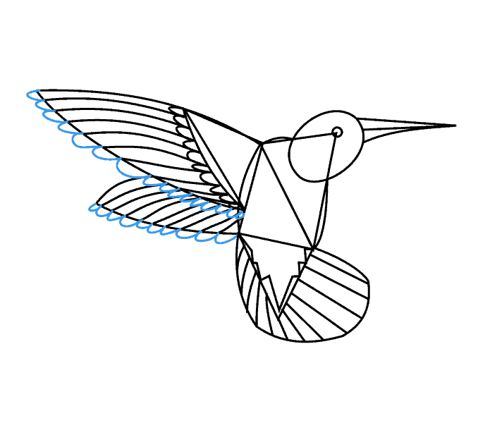 Cách vẽ chim ruồi: Bước 14