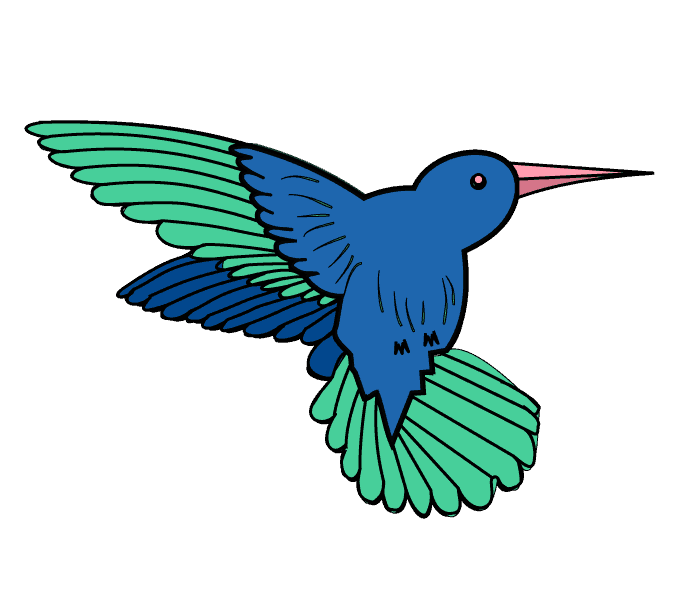 Cách vẽ chim ruồi: Bước 17