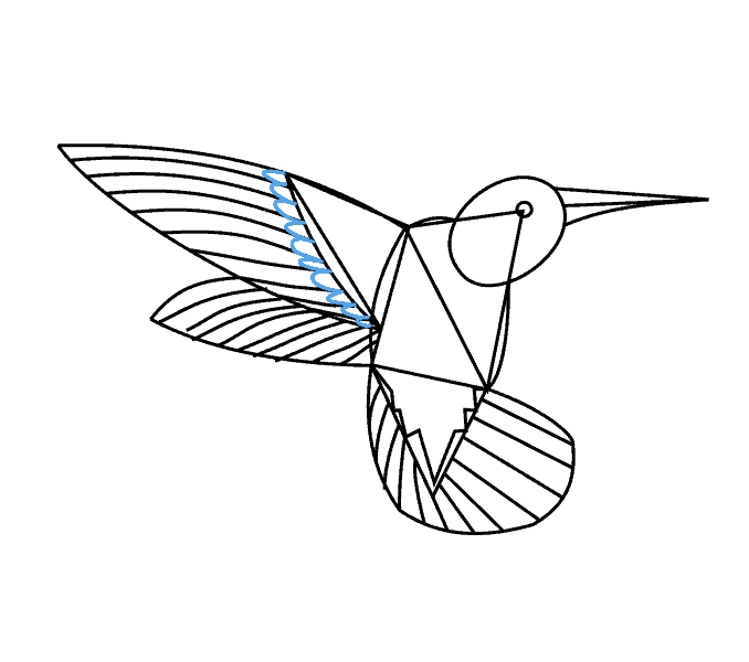 Cách vẽ chim ruồi: Bước 13