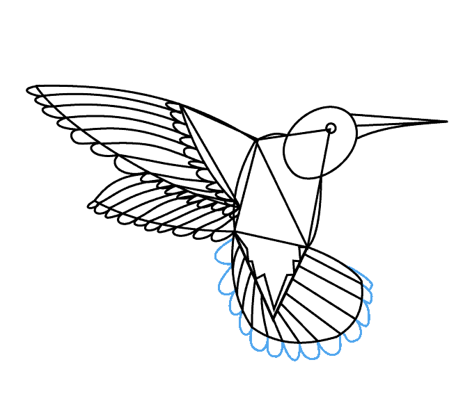 Cách vẽ chim ruồi: Bước 15