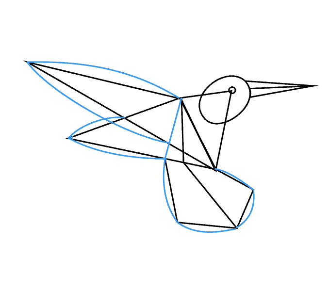 Cách vẽ chim ruồi: Bước 6