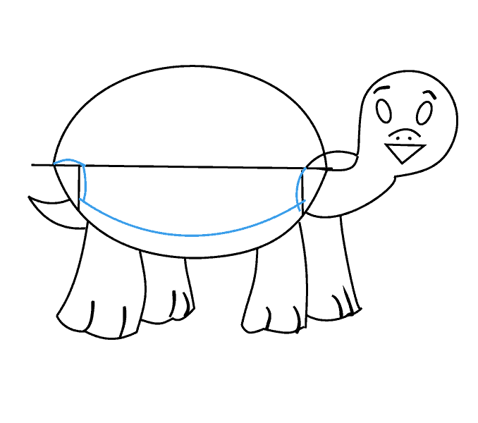 Cách vẽ Rùa: Bước 12