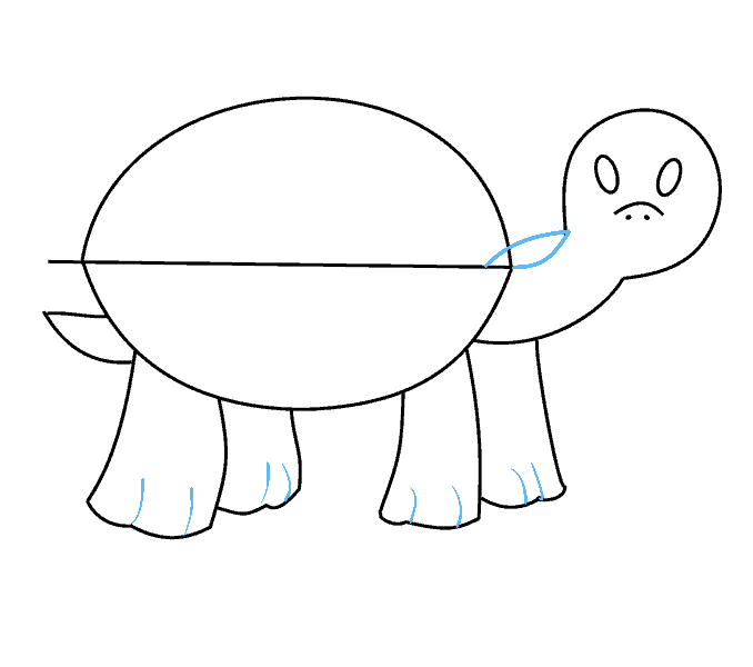 Cách vẽ Rùa: Bước 10