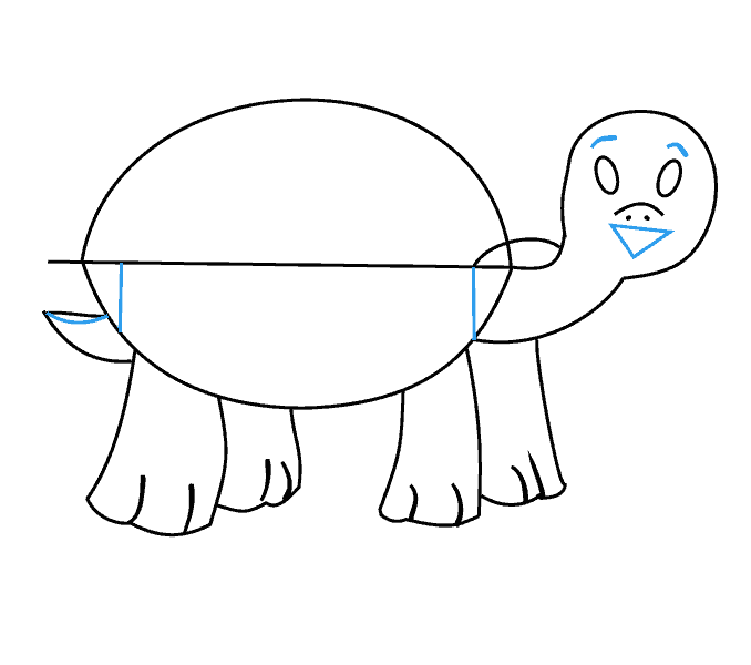 Cách vẽ Rùa: Bước 11