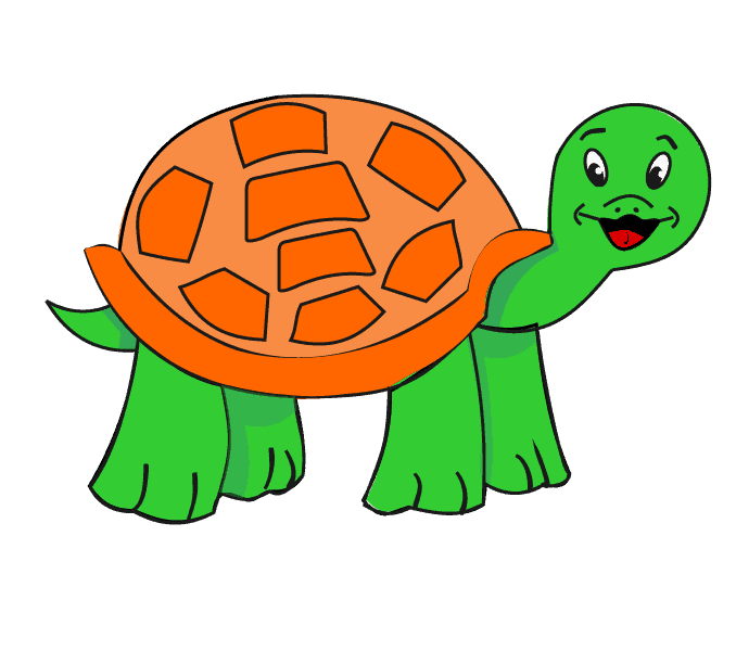 Cách vẽ Rùa: Bước 16