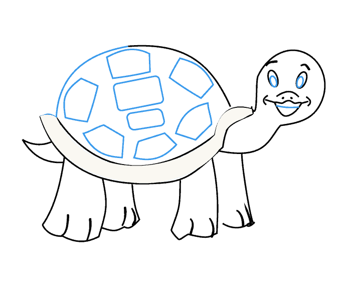 Cách vẽ Rùa: Bước 15