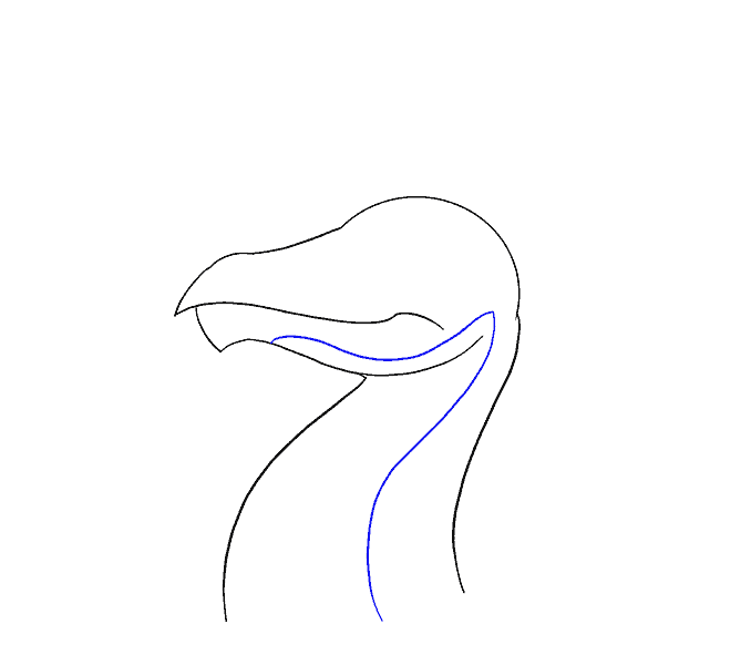 Cách vẽ đầu rồng: Bước 10