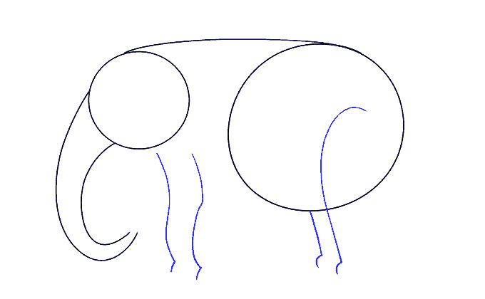 Cách vẽ voi: Bước 5